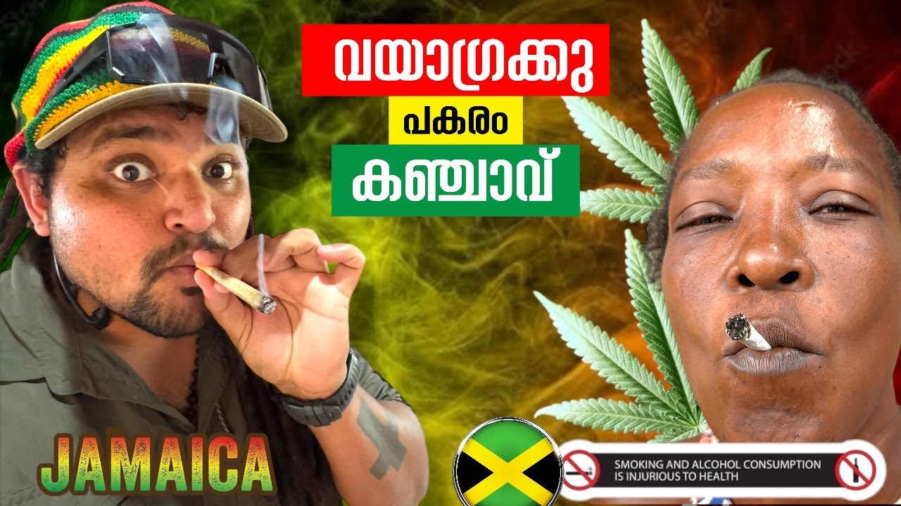EP#4കഞ്ചാവ് അടിച്ചു ഇവിടെ ആരും അമ്മയെ കൊല്ലുന്നില്ല JAMAICA |Caribbean Jamaica 🇯🇲