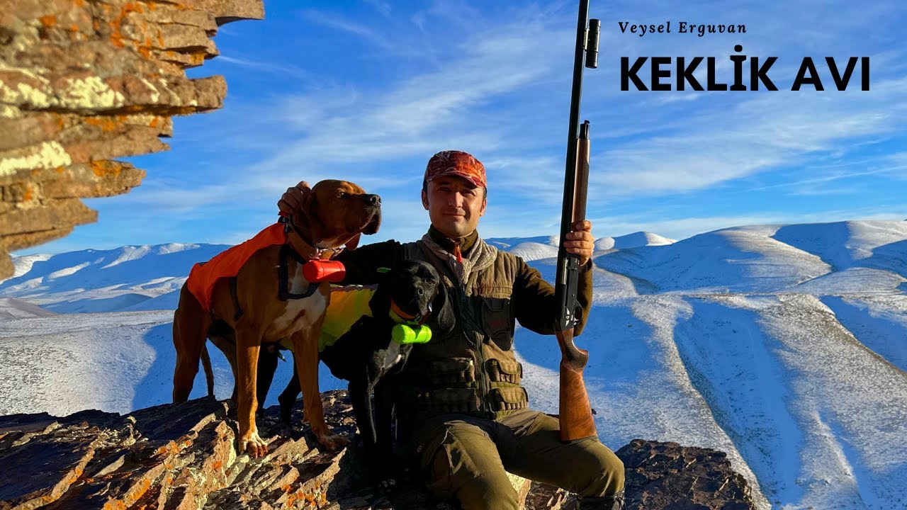 Karlı Dağlarda Avköpekleri ile Muhteşem Keklik Avı🔥Partridge Hunt🔥İngiliz Pointer🔥Burns Arms🔥Hunting