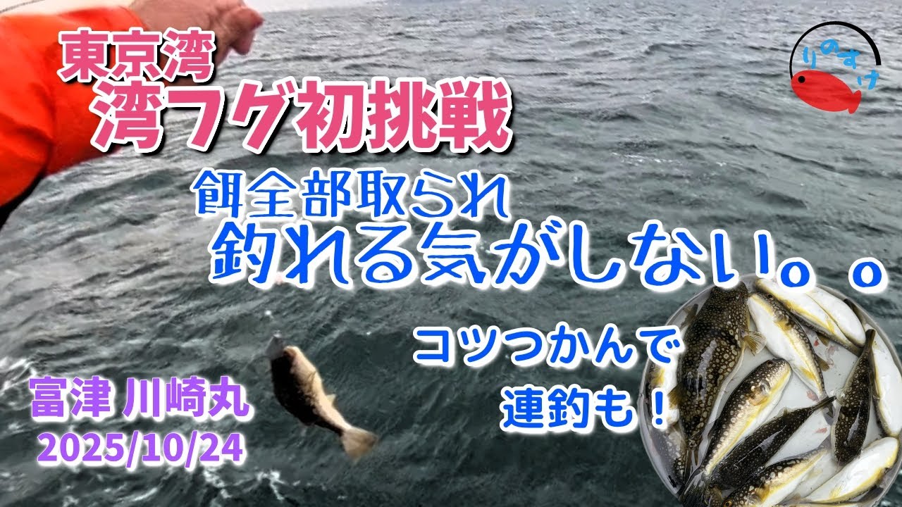 【フグ釣り】初めての湾フグ エサ取り名人に苦戦しながら後半は連釣！！【東京湾】【富津 川崎丸】