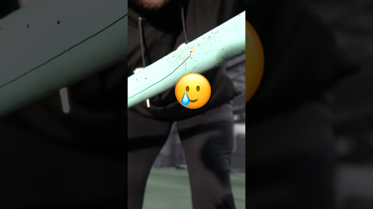 $60 Wood Bat Durability Test 😐