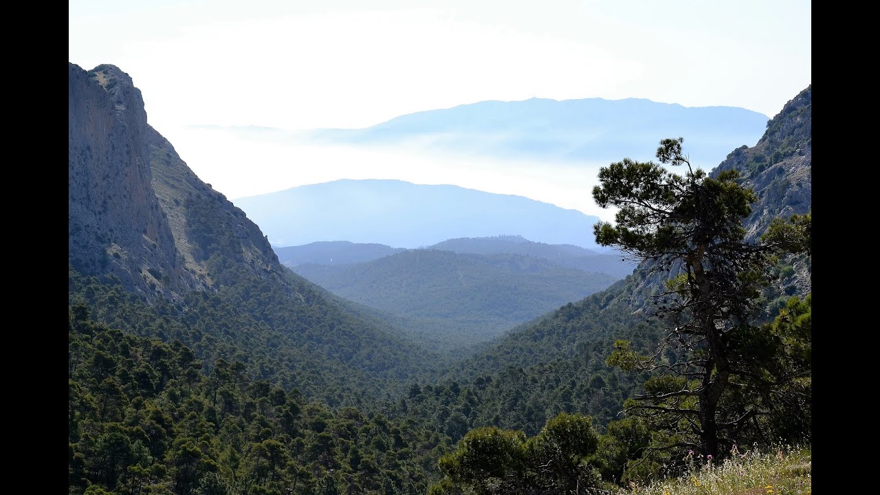 SIERRA ESPUÑA
