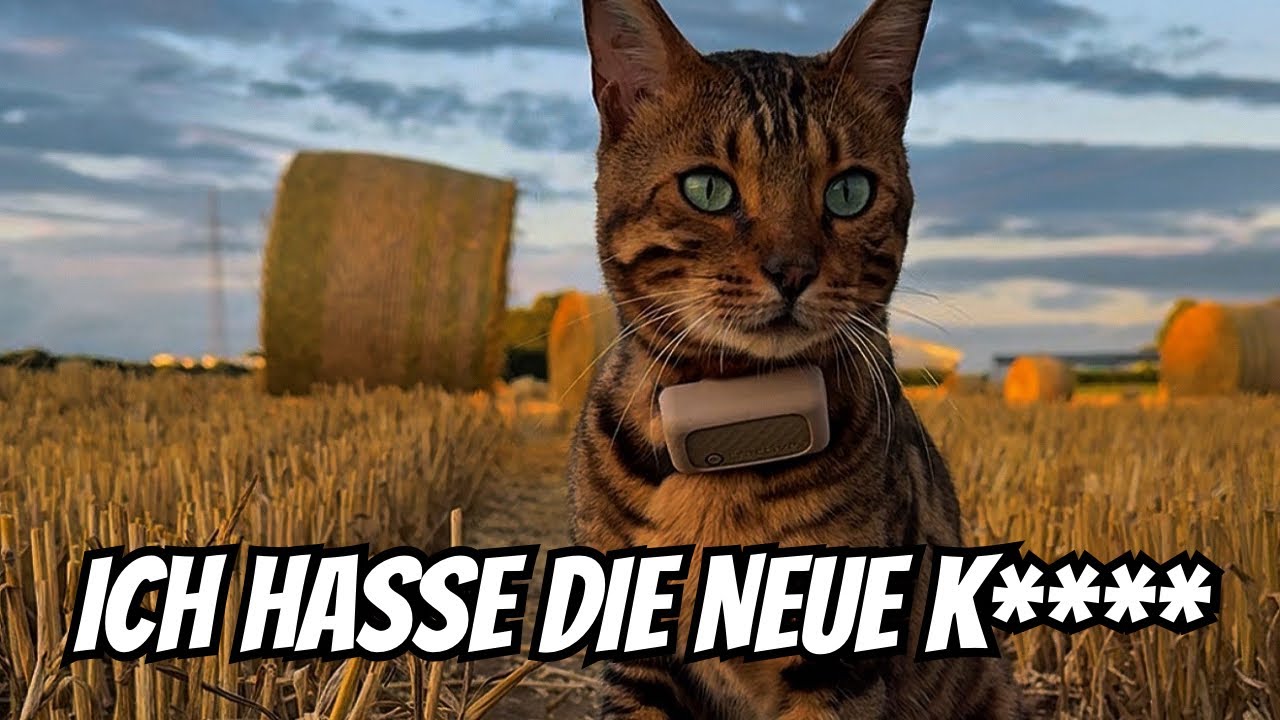 Bali ist mir der Gesamtsituation unzufrieden 🥹