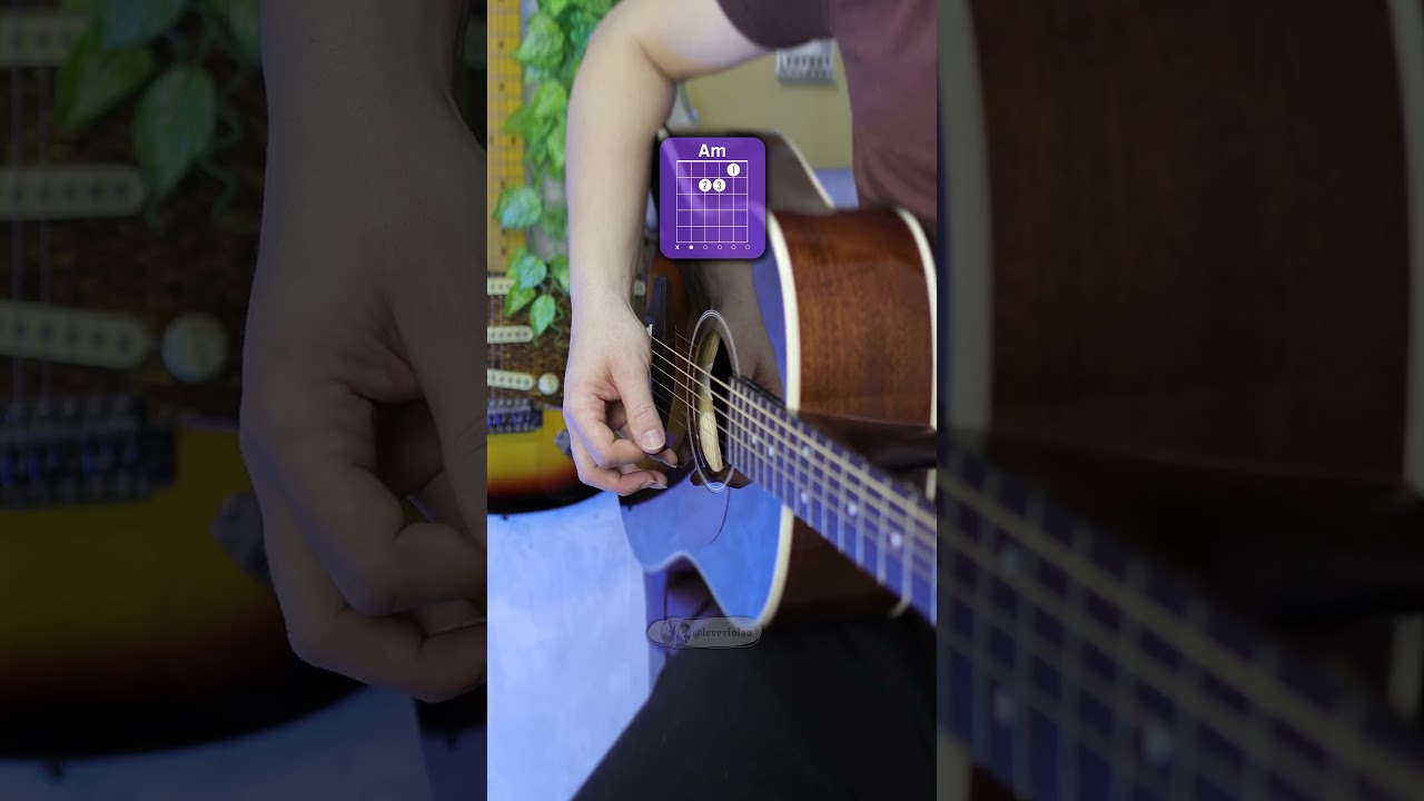 House Of The Rising Sun - The Animals | Strumming Hand