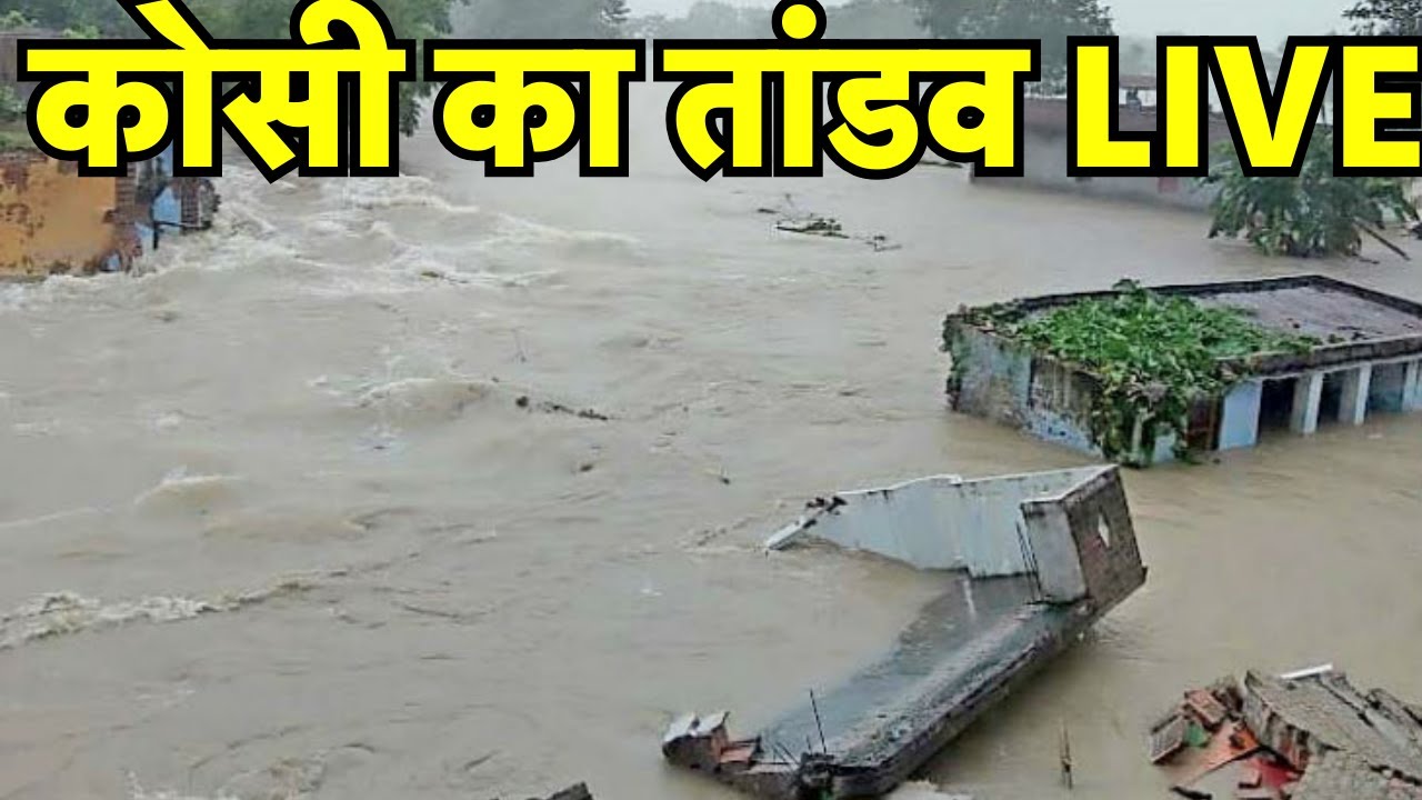 🟢Bihar Flood News Live : 56 साल का टूटा रिकॉर्ड, बिहार तबाह | kosi barrage | Breaking | Bihar News