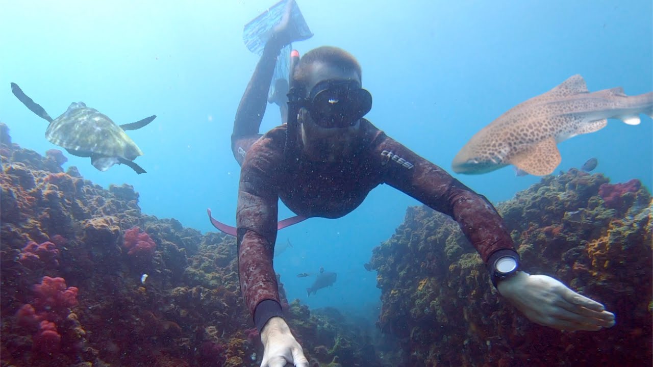 Freediving Julian Rocks in Byron Bay!