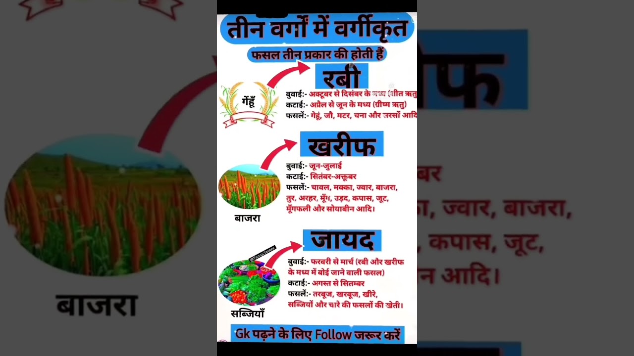 Rabi Crops & Kharif Crops 🔥🇮🇳