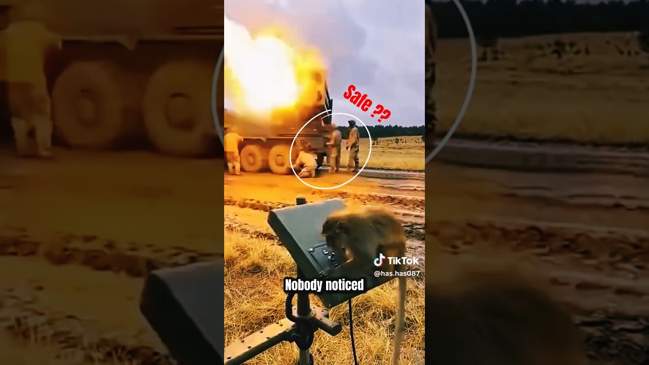 Monkey Pressed the Wrong Button…!!!