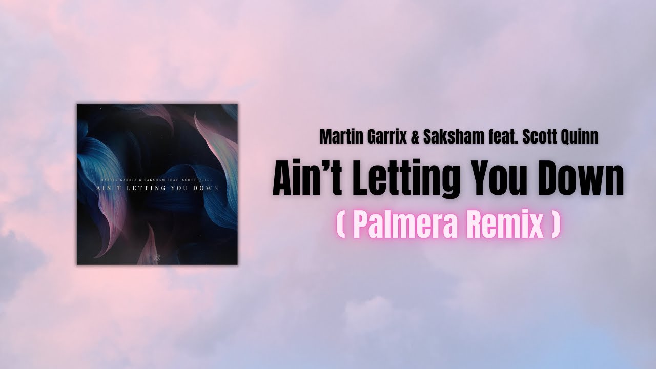 Martin Garrix & Saksham feat. Scott Quinn - Ain’t Letting You Down ( Palmera Remix )