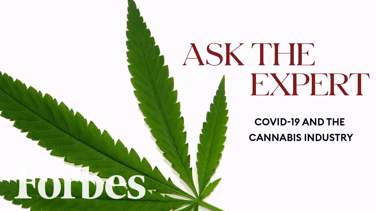 How The Cannabis Industry Is Booming As An Essential Business | Forbes