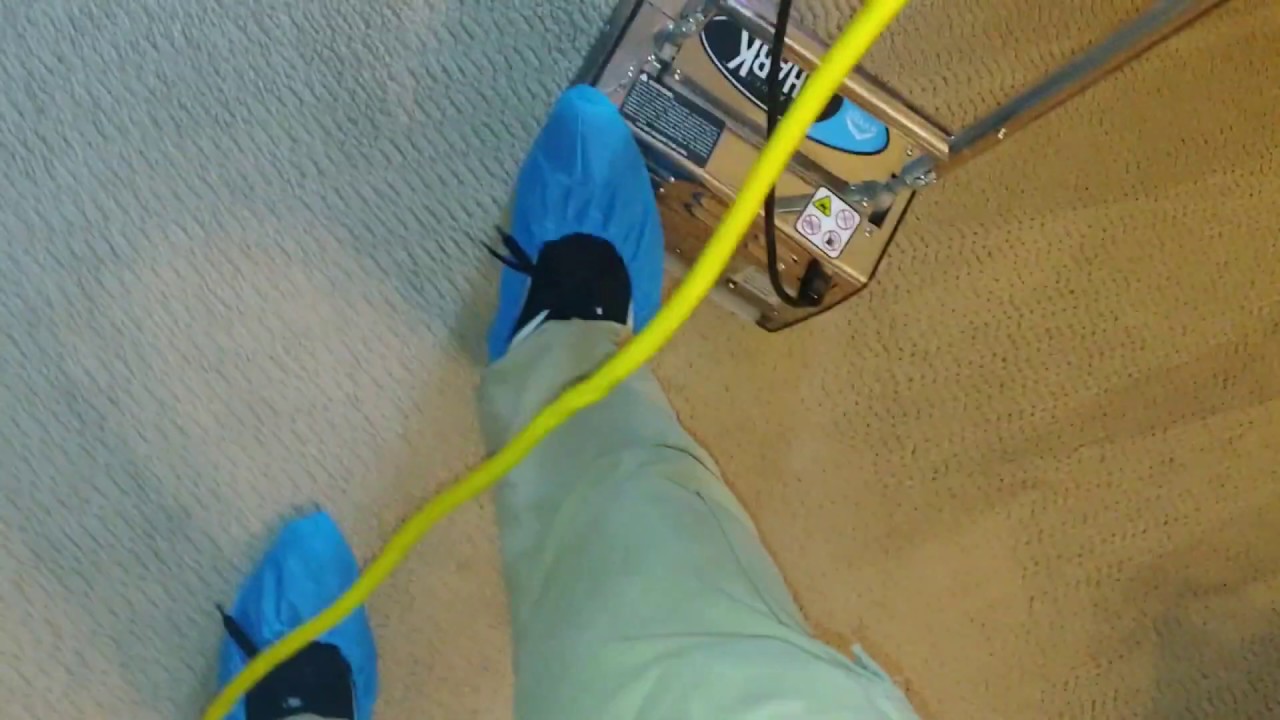 Carpet Cleaning for a Great Client | ASMR | Hot Water Extraction