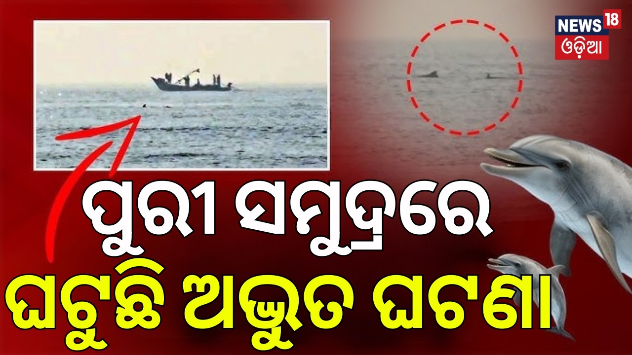 ପୁରୀ ସମୁଦ୍ରରେ ଘଟୁଛି ଅଦ୍ଭୁତ ଘଟଣା | Dolphins Spotted in Puri Sea | Puri News Today | Odia News