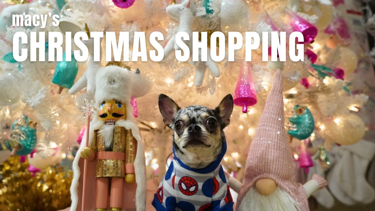 Macy's NYC Christmas Shopping with our dogs | Life in NYC