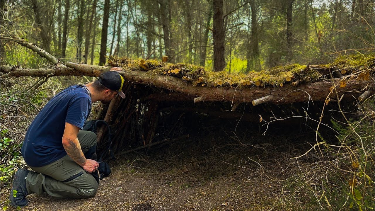 Continuing the Primitive Shelter Build in the Forest | Solo Survival