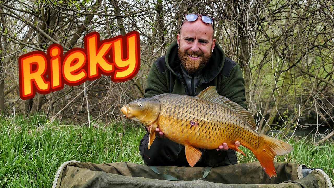 Lov kapra na riekach 💚🎣🍀  #carpfishing #fishing