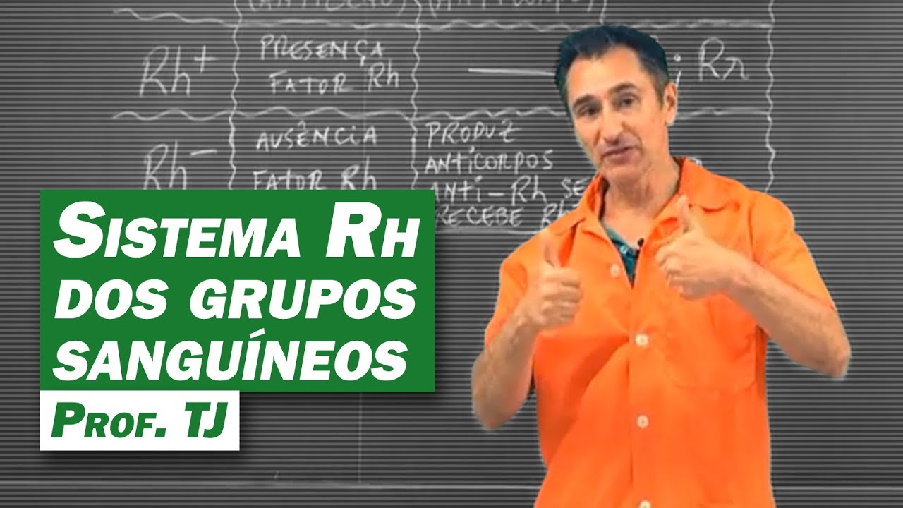 Biologia - Sistema Rh dos grupos sanguíneos