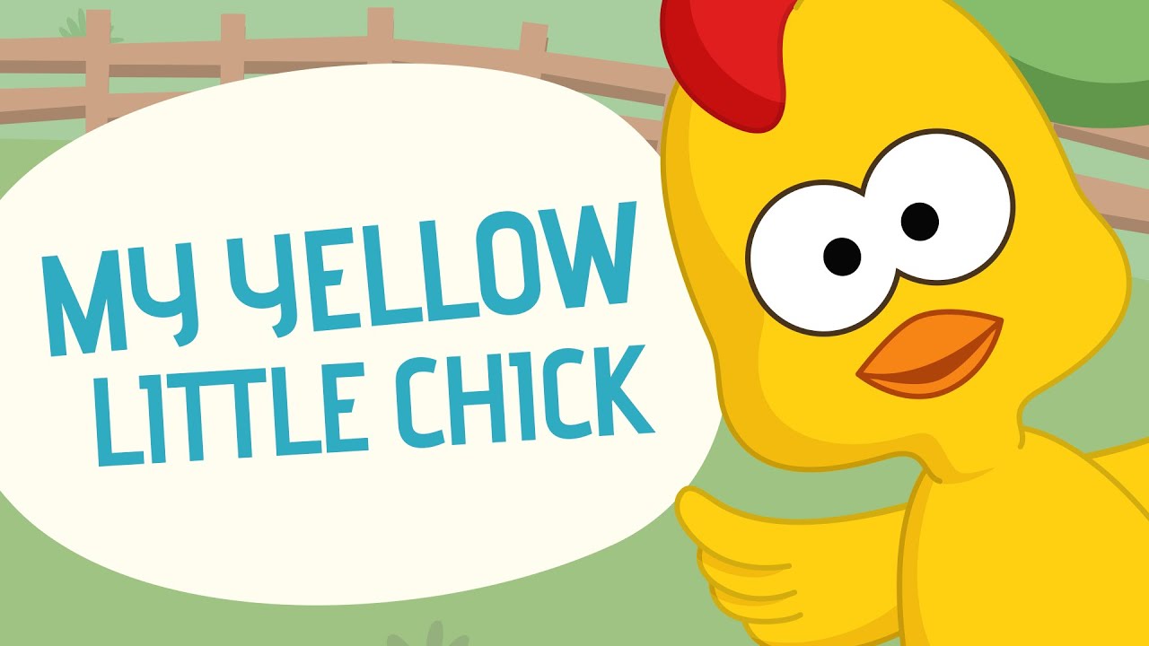 My yellow little chick - Nursery Rhymes - Toobys