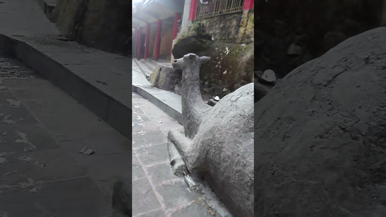 dehradun tapkesvar mahadev mandir view🐛🐳🐳