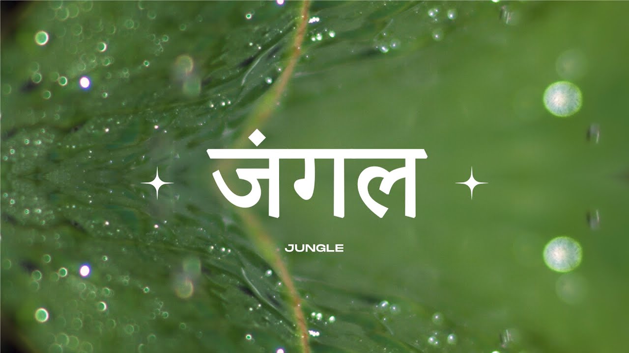 aryoon - jungle (visualiser)