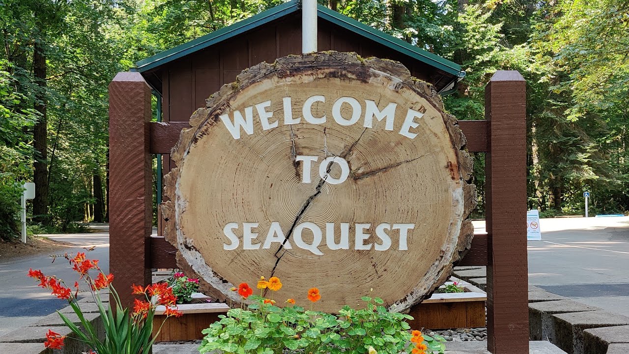Camping at Seaquest State Park
