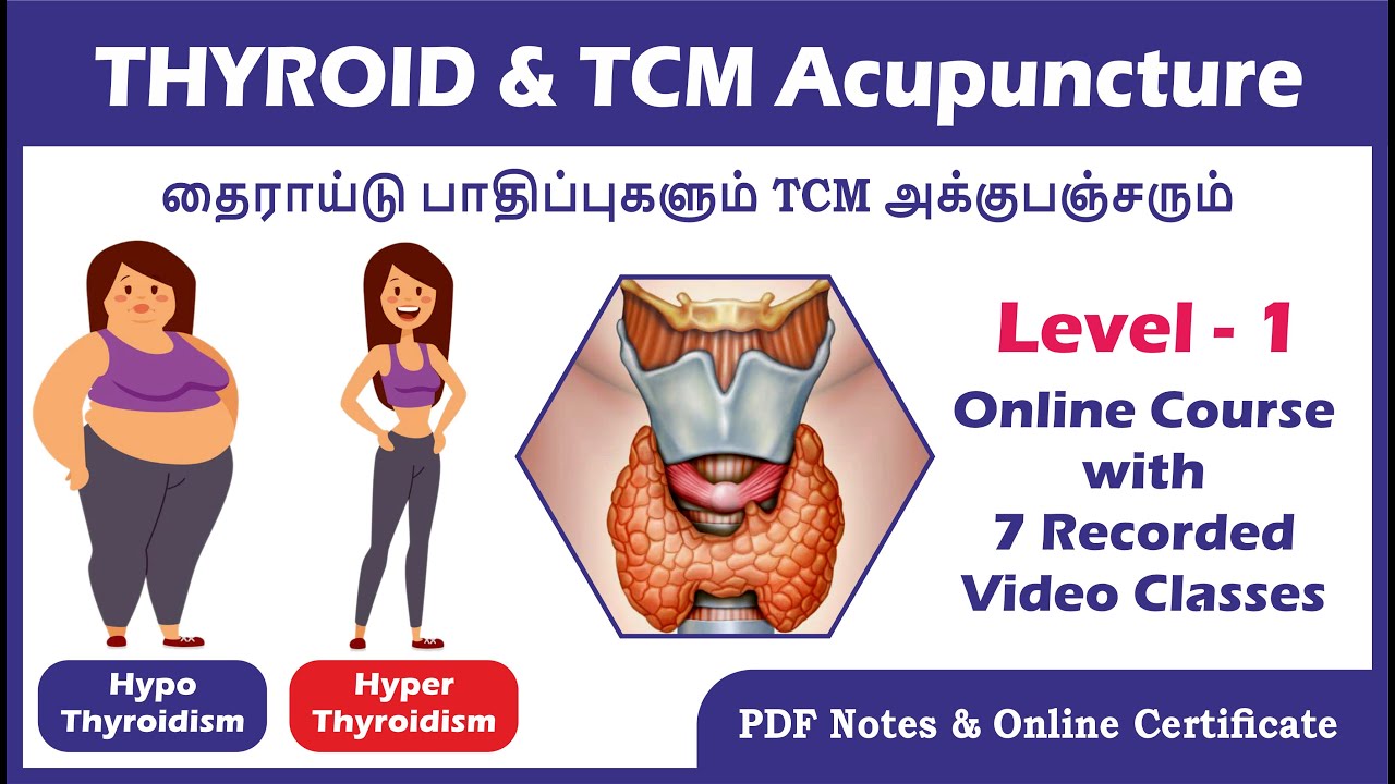 தைராய்டு பிரச்சணைக்கு தீர்வு || Thyroid & TCM Acupuncture