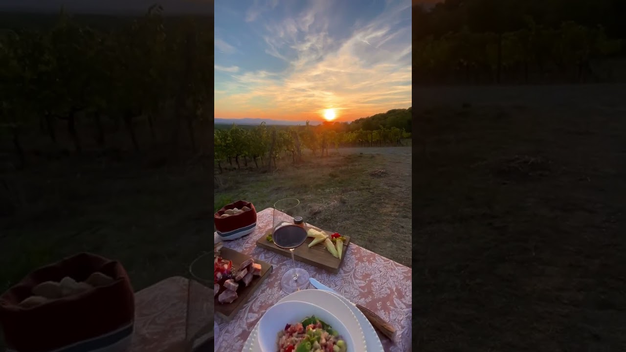 Nature Luxury Dinner || House Style || Hotel Resorts #shorts #ytshorts #hotel #nature