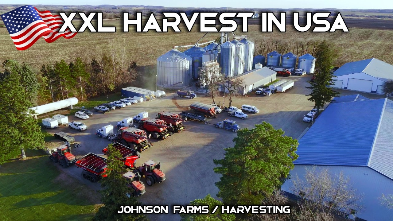 🔴🤯 HARVEST IN THE USA ALL IN CASEIH AT JOHNSON FARMS