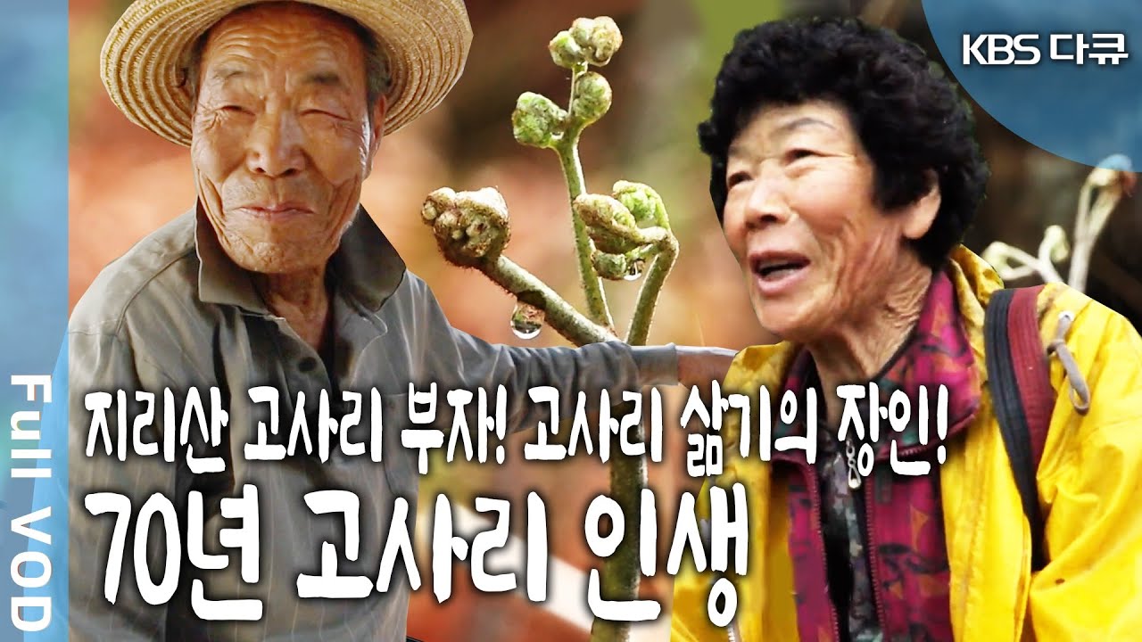 '입에서 단 내 난다”는 고단한 봄. 지리산 비탈 밭에 매달려 꼬부랑 허리를 펼 새없이 꺽는 고사리. 지리산 ‘고사리 마을’의 봄 (KBS 110813 방송)