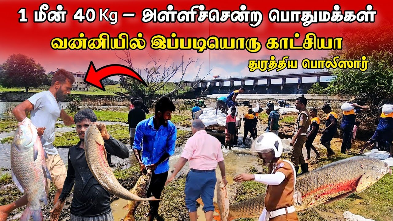 🔴சற்றுமுன் பொலிஸார் துரத்த துரத்த மீன்களை அள்ளிச் சென்ற பொதுமக்கள் - பரபரப்பு காட்சி #mullaitivu