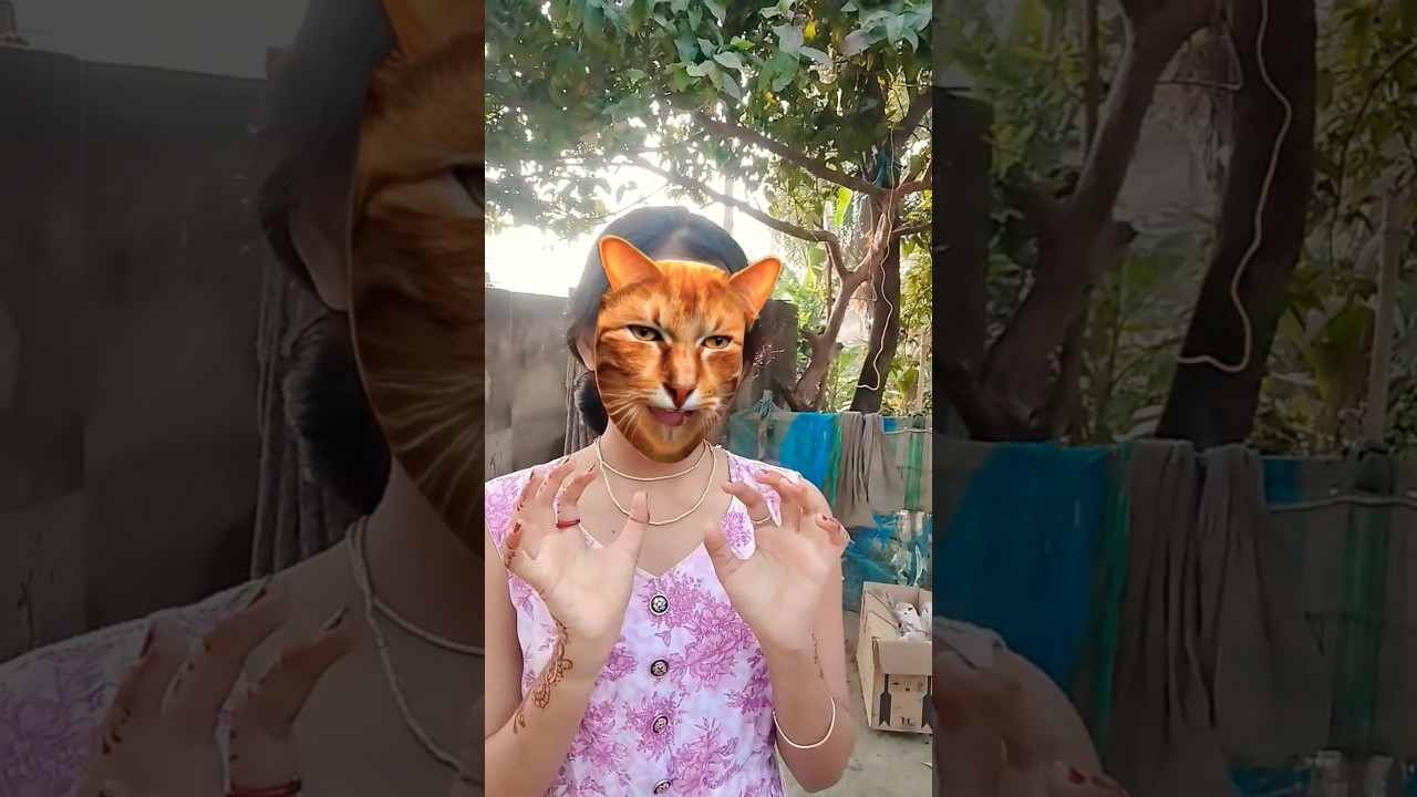 Кот просит молока 🧃😱🐱33283