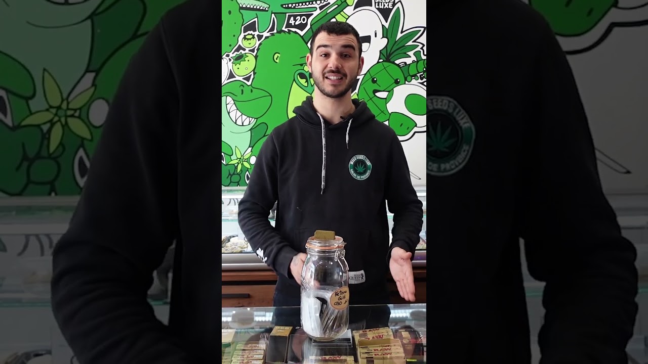 CBD Hash Ketama Gold - WEEDSEEDSLUXE #Shorts