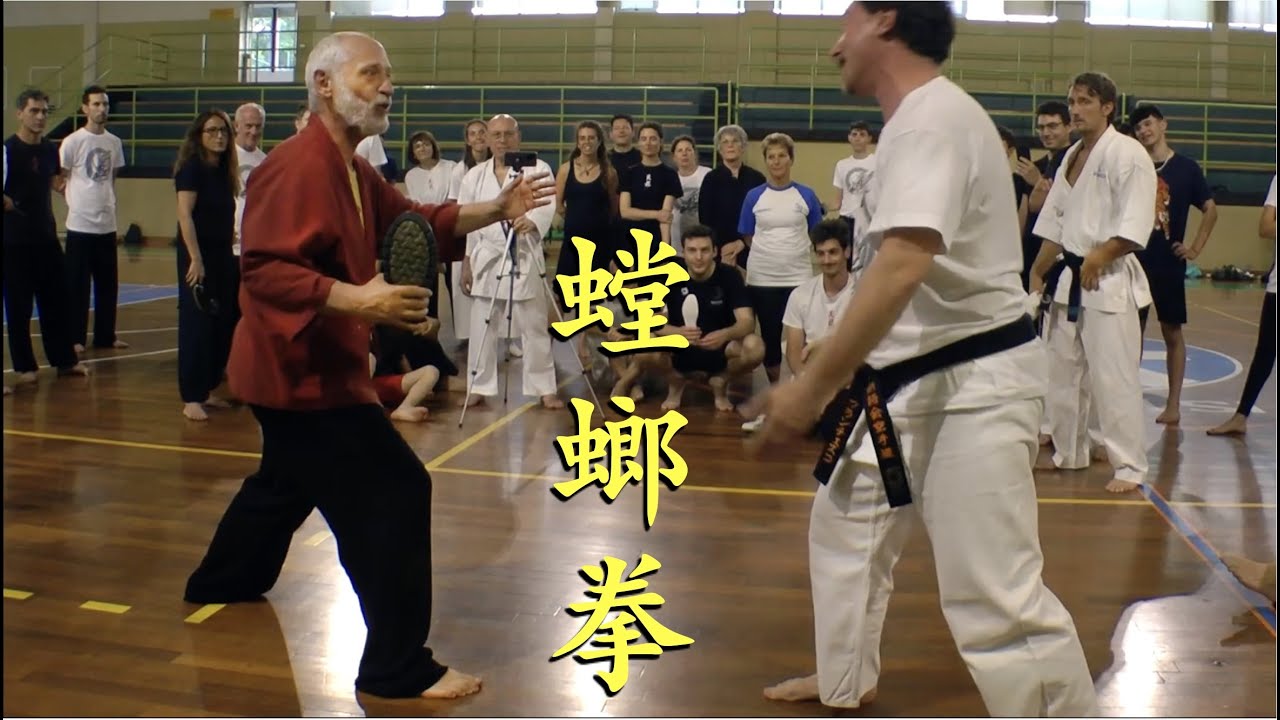 螳螂拳 Режущий кулак богомола