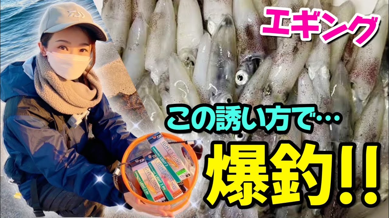 【エギング】港内でイカ爆釣!! この誘い方で釣れてます♪