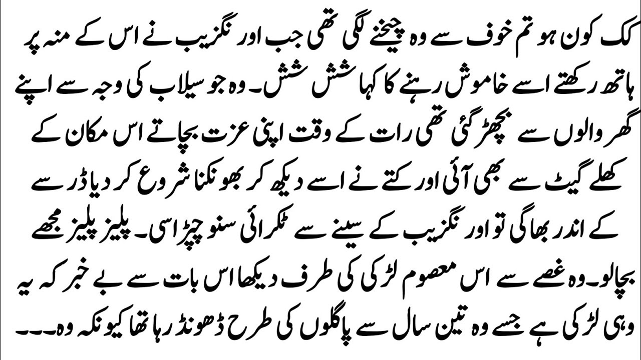 Urdu Novel 