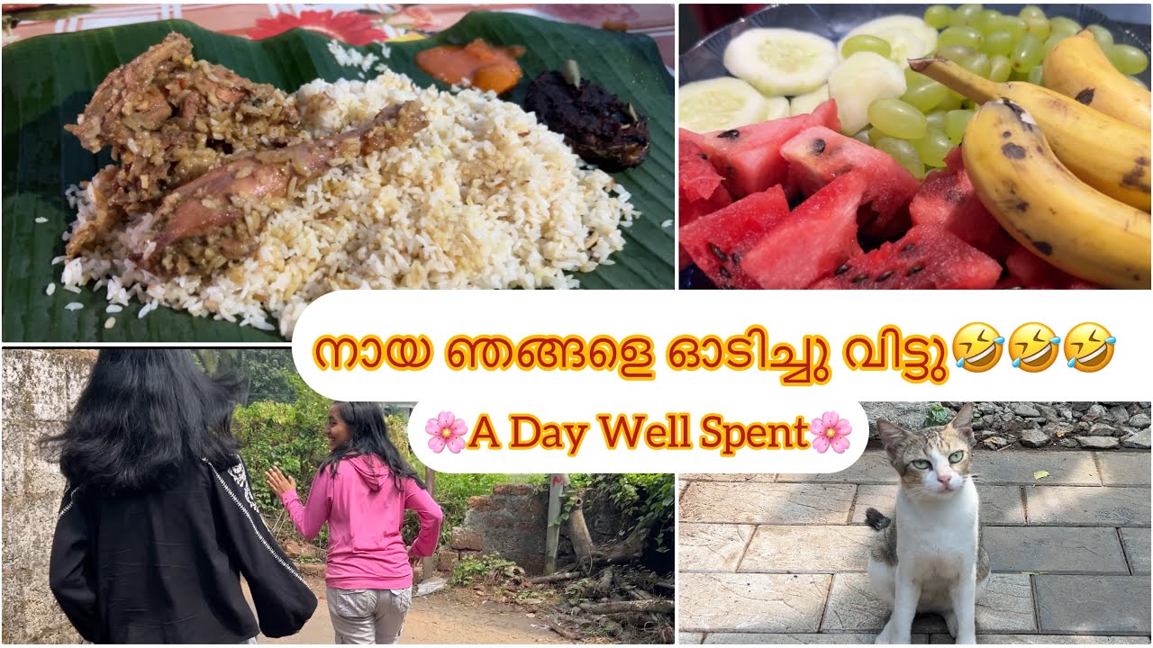 Escaped from dog bite😂 A day well spent❤️ മാമിയുടെ വീട്ടിൽ വിരുന്നിന് പോയപ്പോൾ🥰🎉#goodday #goodvibes