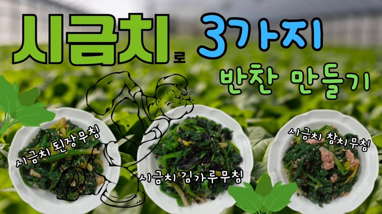 시금치로 3가지 반찬 만들기 - 시금치된장무침 | 시금치김가루무침 | 시금치참치무침