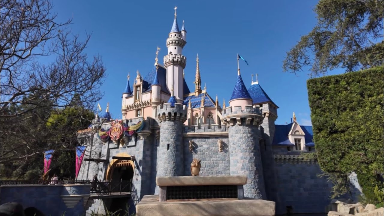 Relaxed Saturday at Disneyland! 1/24/2026