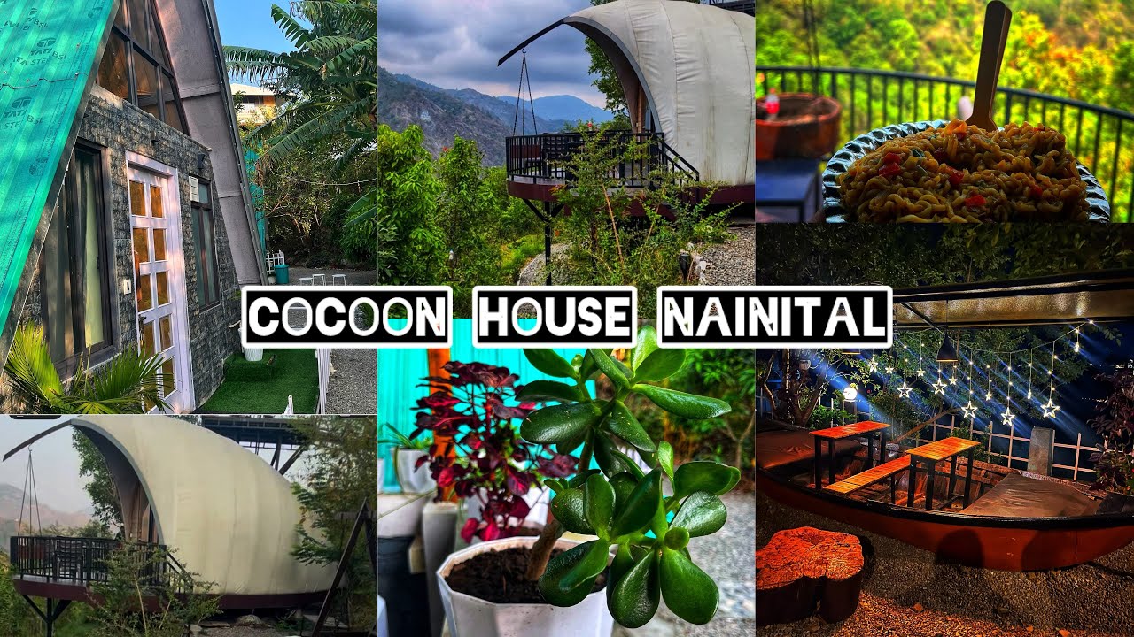 Cocoon House, Nainital | A Unique Stay Amidst Nature 🍀🍃 #subscribe #like #share #nainital #mountains