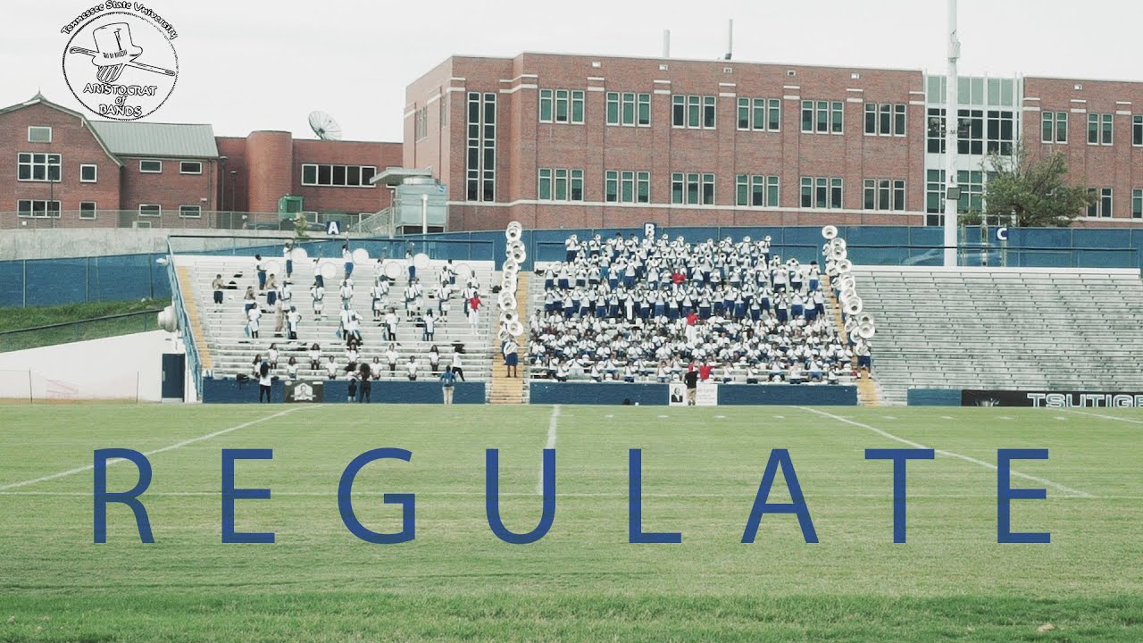 REGULATE | Tennessee State University 2016