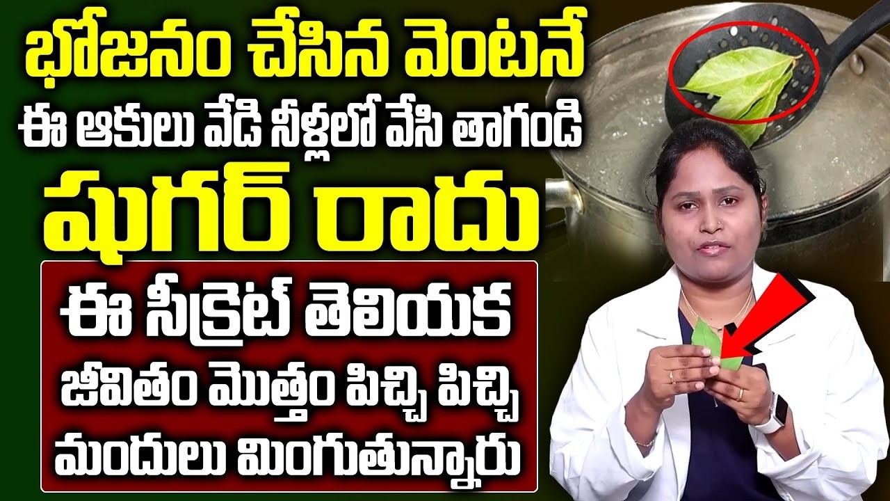 ఈ ఆకులు వేడి నీళ్లలో వేసి తాగితే షుగర్ ఉండదు || Dr ShagufthaAbout Diabetes || SumanTV health Care