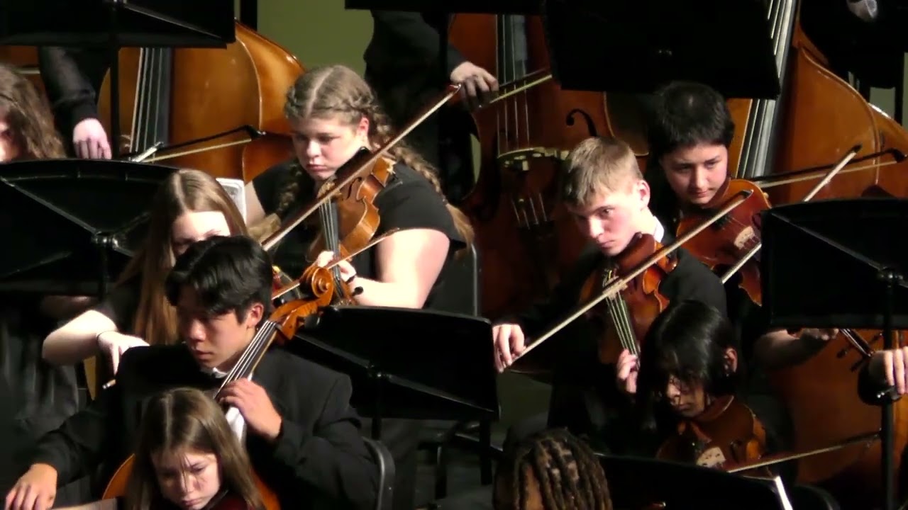 2024 All State South Carolina Orchestra