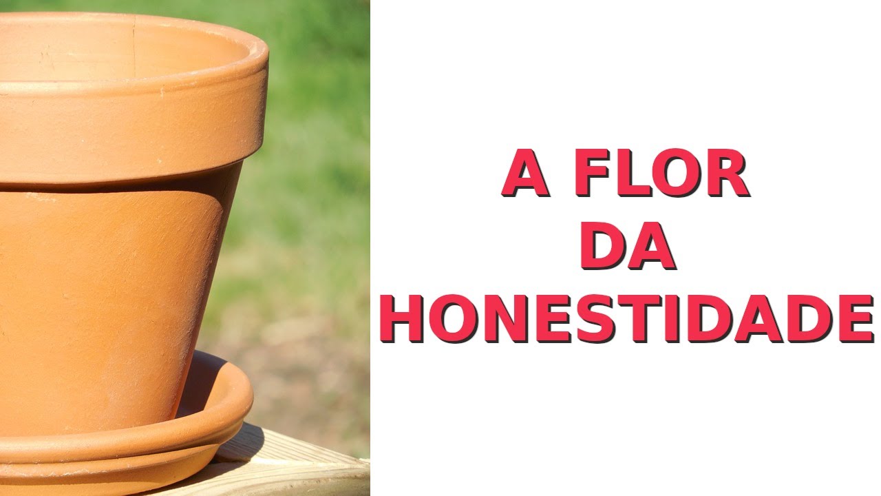 A Flor da Honestidade