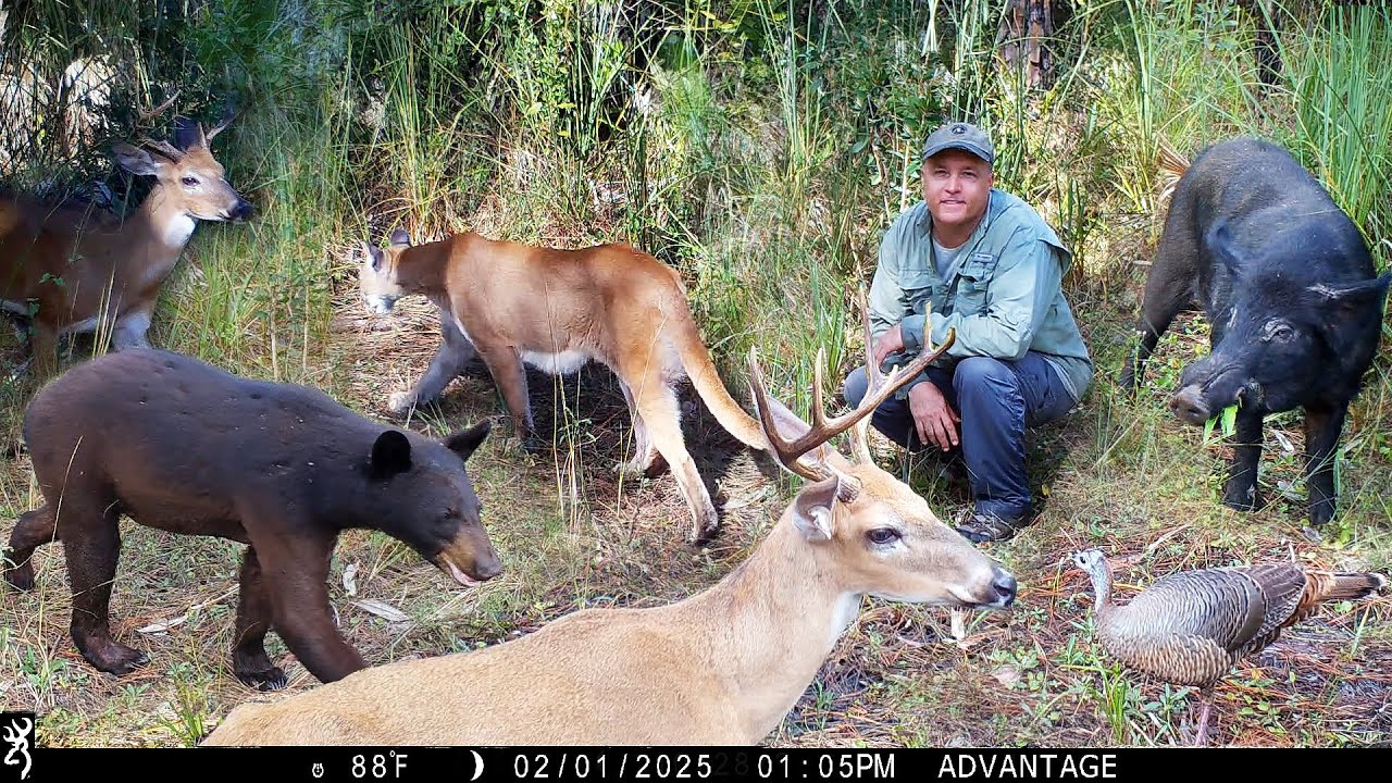 Tim Harrell - Browning Recon Force Trail Camera Pickup