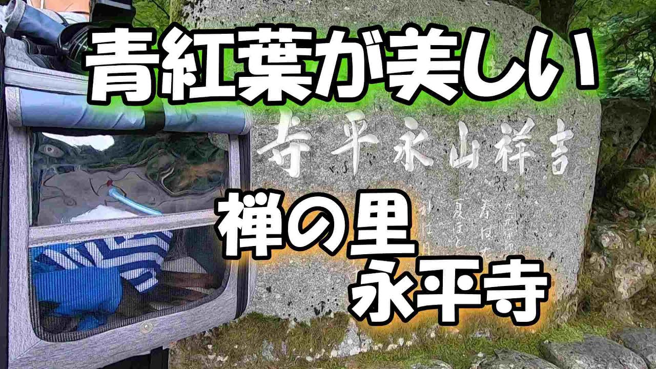 【福井観光】福井県観光名所の永平寺に行ってきました