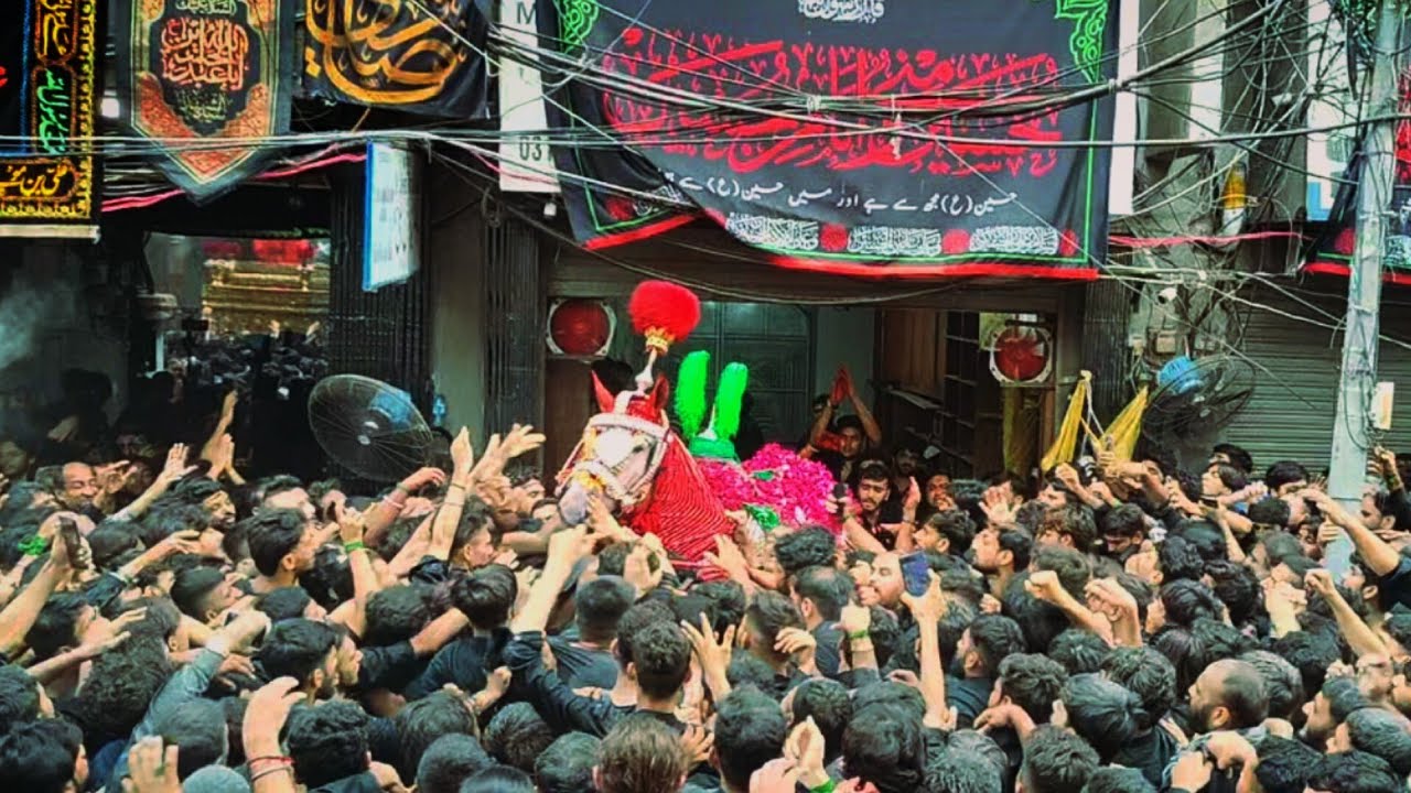 9 Muharram 2025 Nicholson Road Baramdagi Markazi Ziyarat Zuljanah O Zareeh Imam Hussain | Lahore