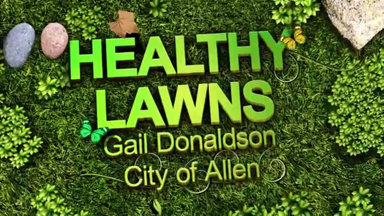 Healthy Lawns