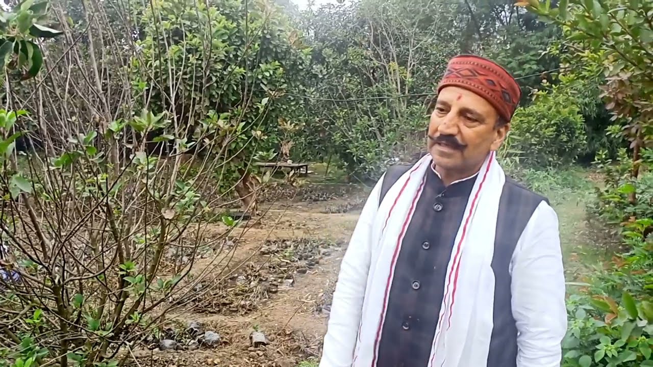 Zhilmil Lovely nursery karnal सेब और बादाम के स्पेशलिस्ट नरेंद्र राणा की नर्सरी की सारी जानकारी।