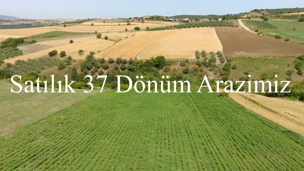 (satıldı) Arazi 37 Dönüm Harika konumda Verimli Tarla 370Bin Lira 0532 415 22 92