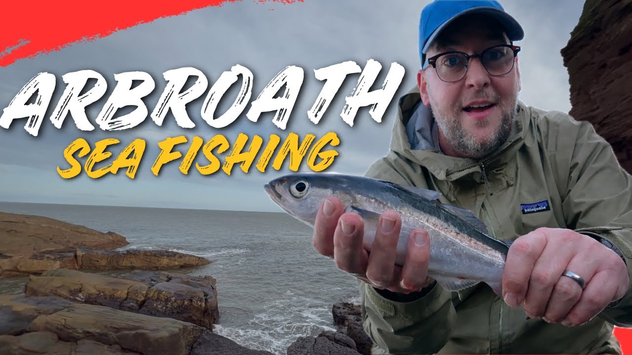 Sea Fishing at Arbroath Cliffs - 2 New Species! 