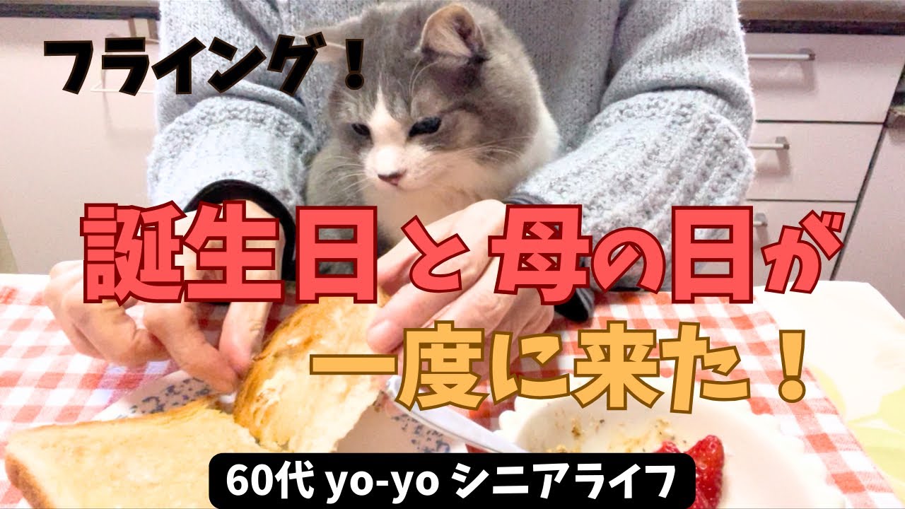 【60代yo-yoの日常】時間を忘れるほど楽しいこと/いちご/あつ森/猫との暮らし/シニアライフ/アラカン