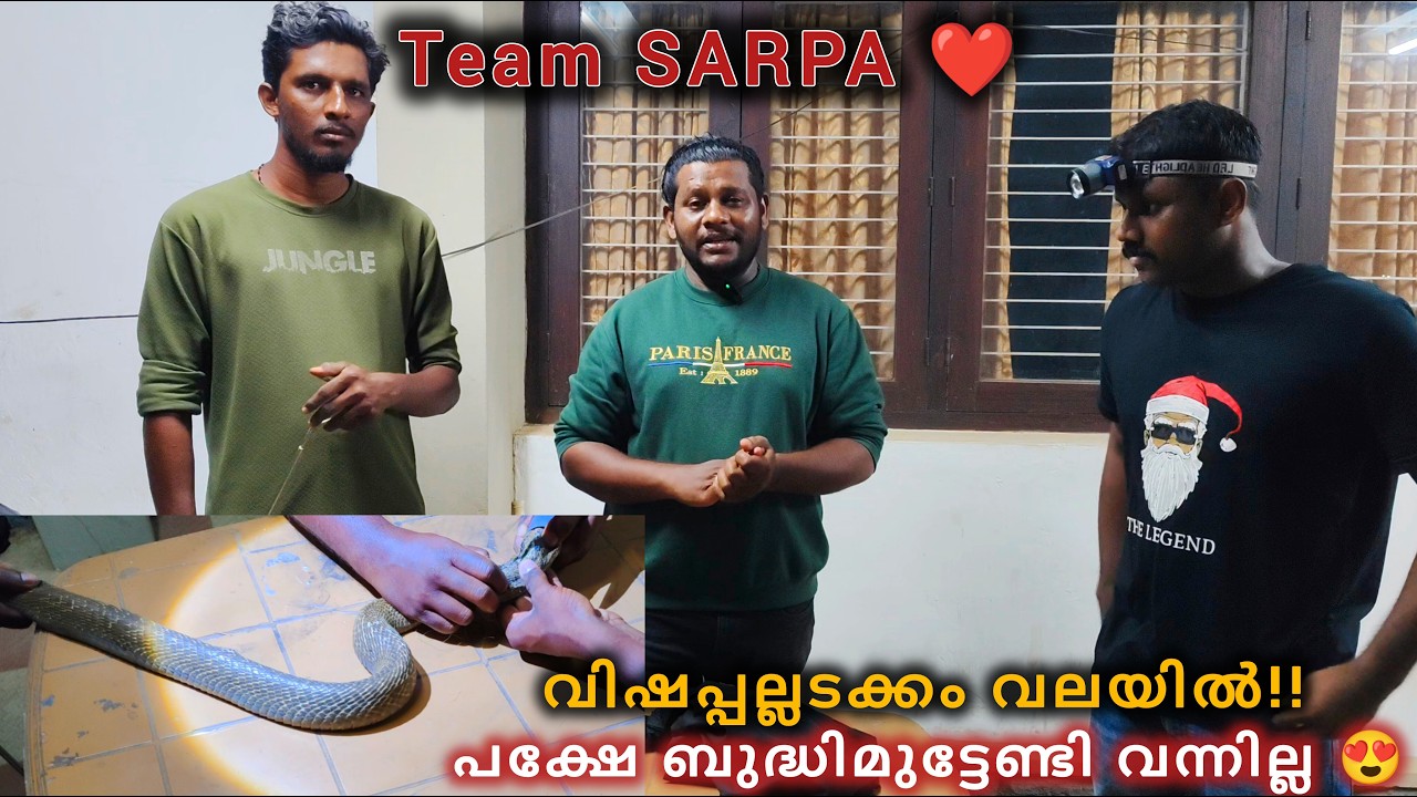 വലയിൽ കുടുങ്ങിയതിനെ രക്ഷിക്കുക എന്നതാണ് ഏറ്റവും വലിയ വെല്ലുവിളി!!🥺🐍 SNAKE MANIAC | SNAKE | COBRA